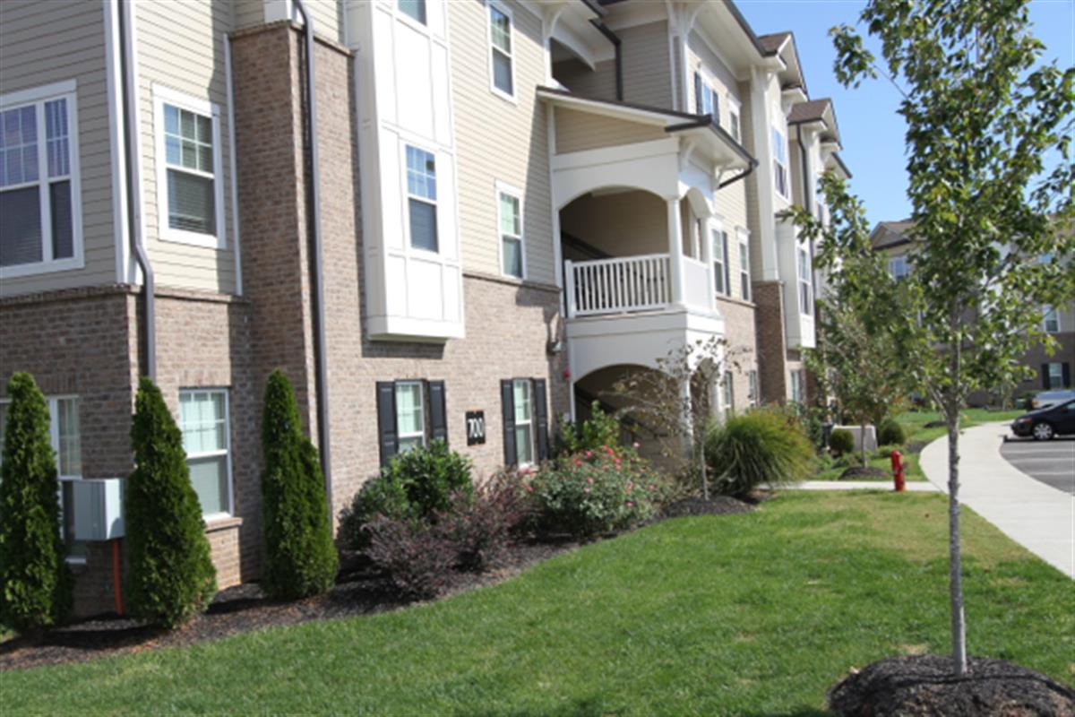 Renaissance at Peachers Mill Apartments